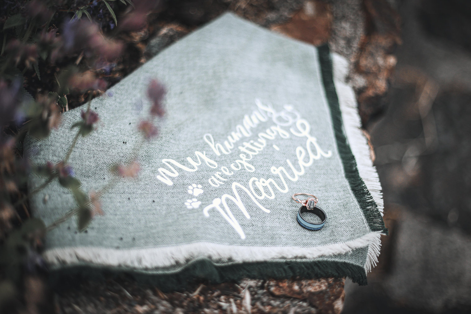 The Wedding Website of Courtney Conway and Roy Mofield