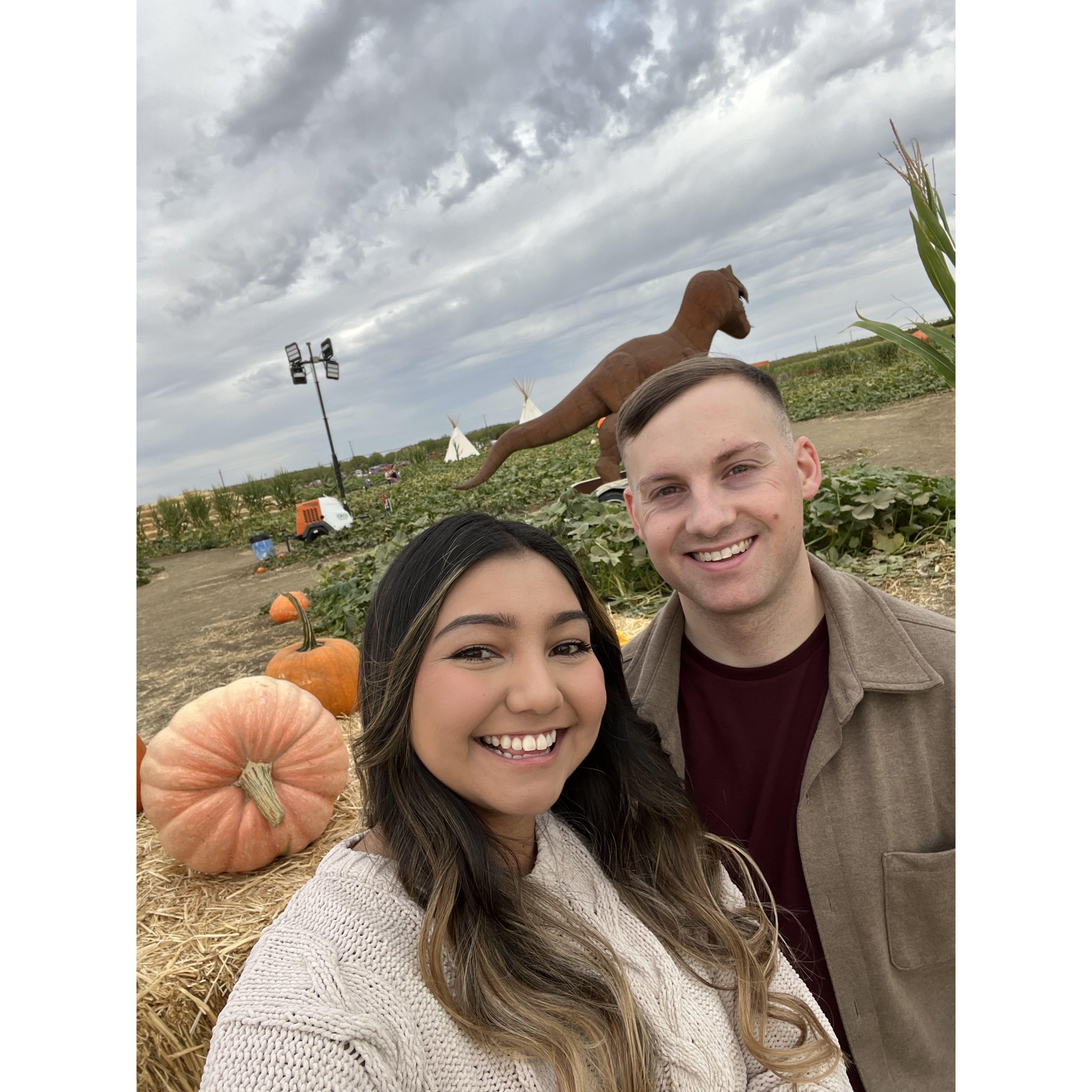 Pumpkin Patch