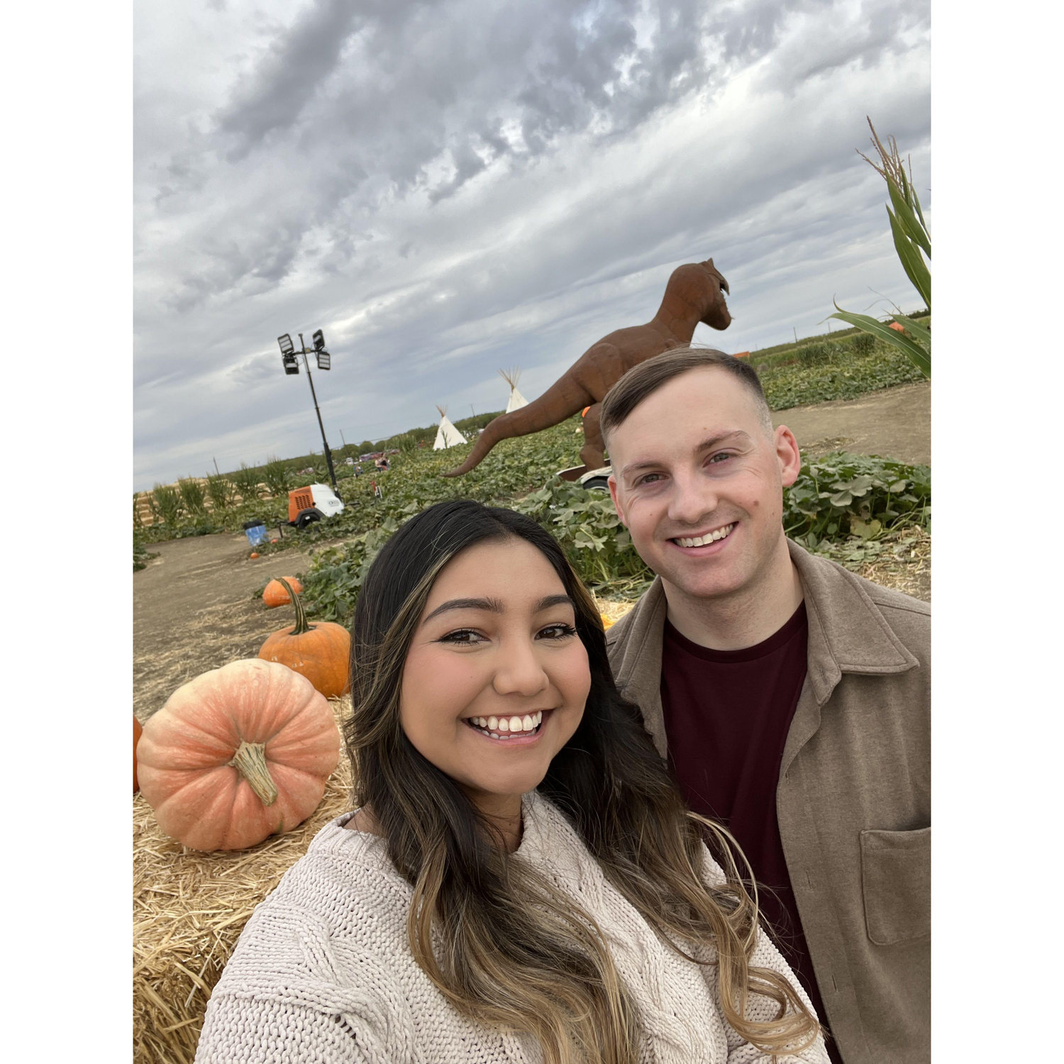 Pumpkin Patch
