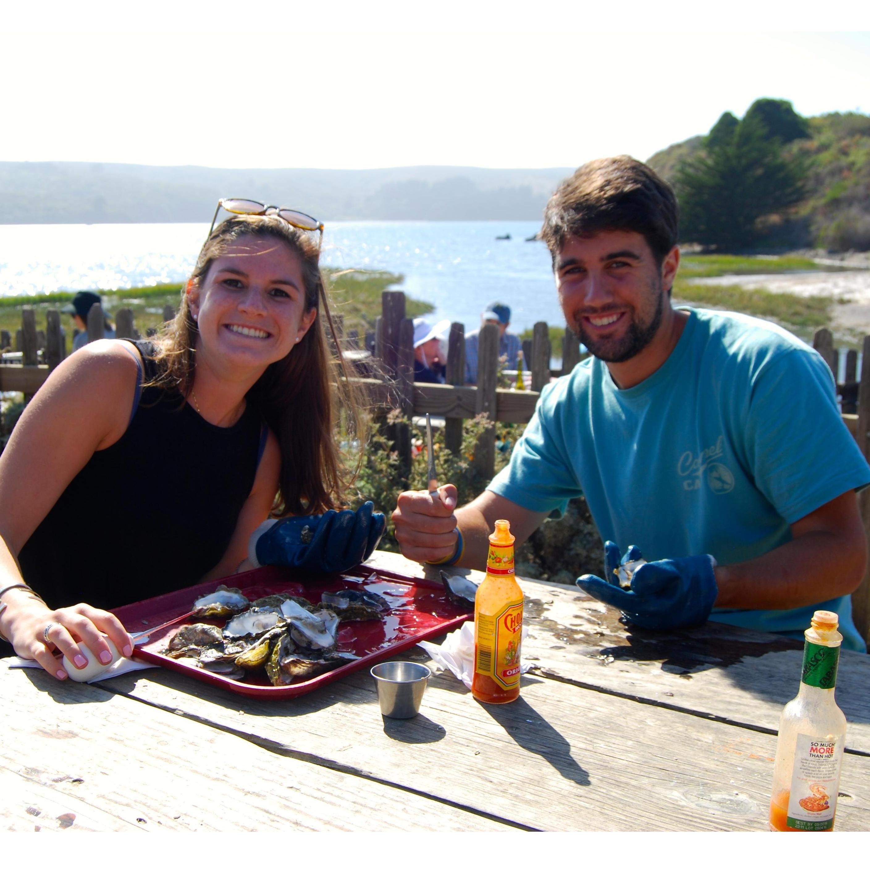 Tomales Bay in California (2016)