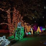 Wild Winter Lights at Cleveland Zoo