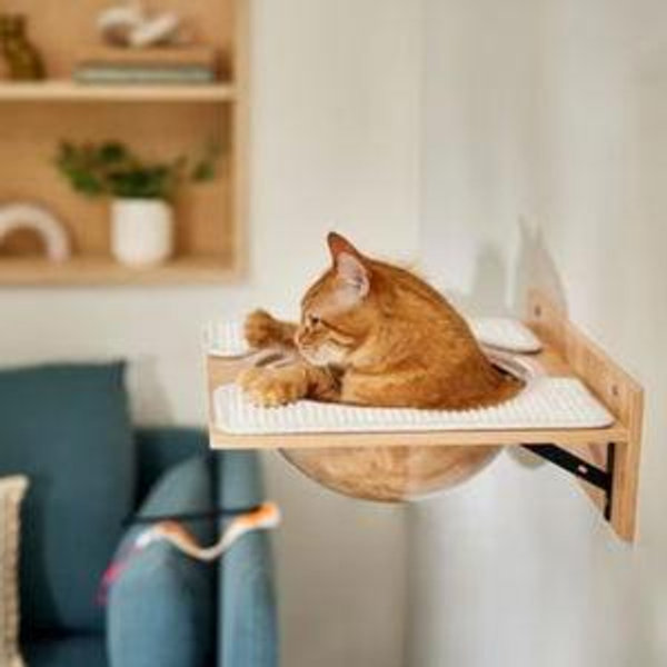 Frisco Acrylic Bowl Wall Mounted Cat Wall Shelf