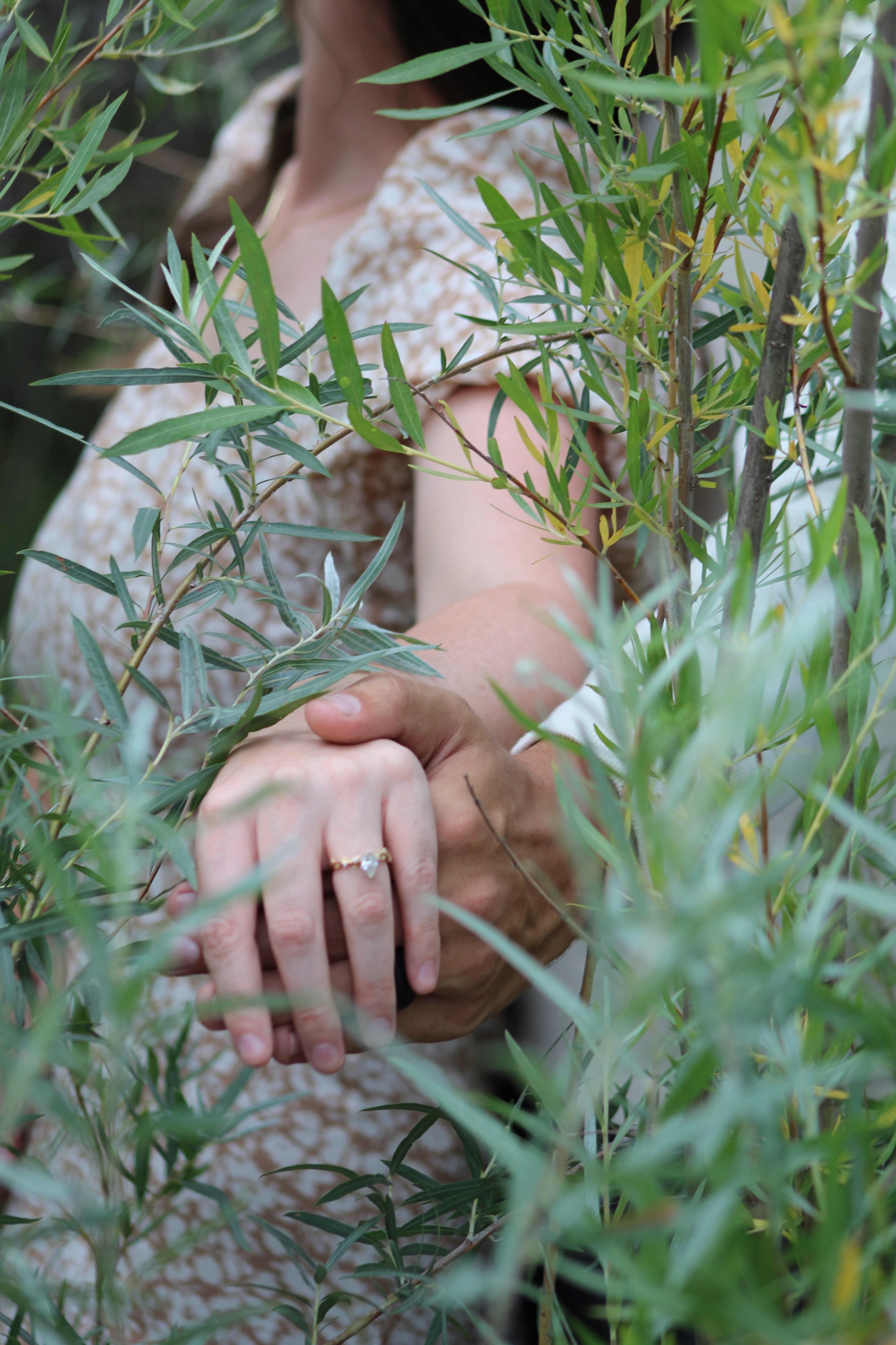 The Wedding Website of Lael Niemann and Thomas Nickerson