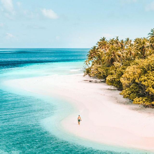 Private Picnic for Two on Deserted Island