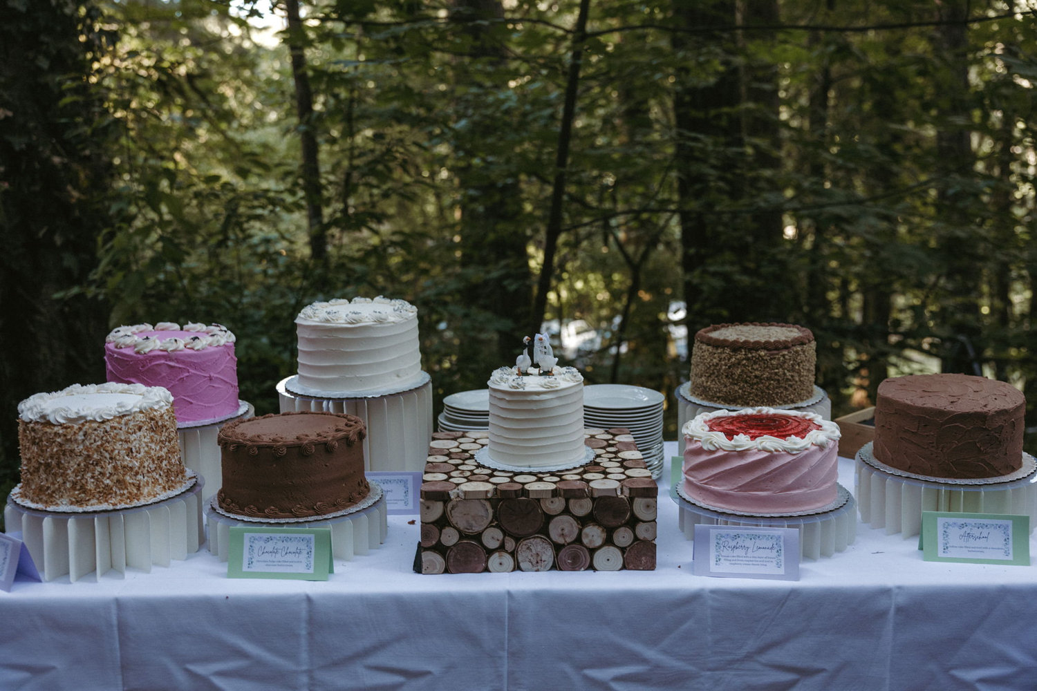 The Wedding Website of Clara Lesko and Garrett Lesko