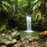 El Yunque National Forest