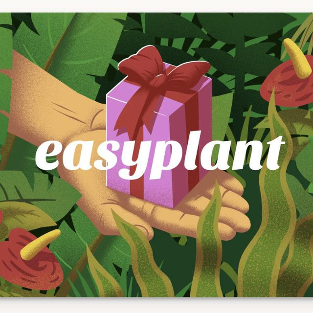 Easy Plant Gift Card