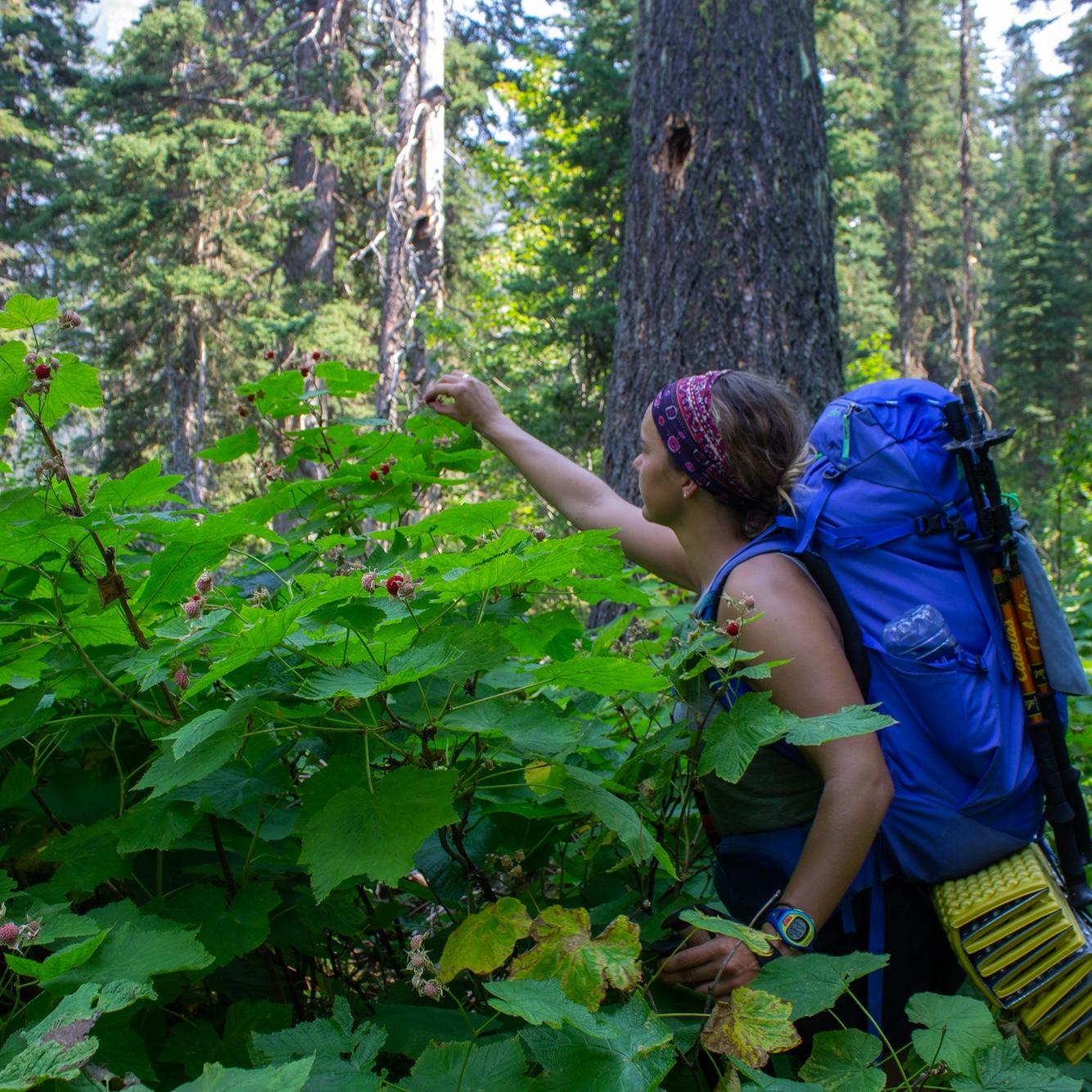 Backpacking in Glacier National Park, Montana. Summer 2018