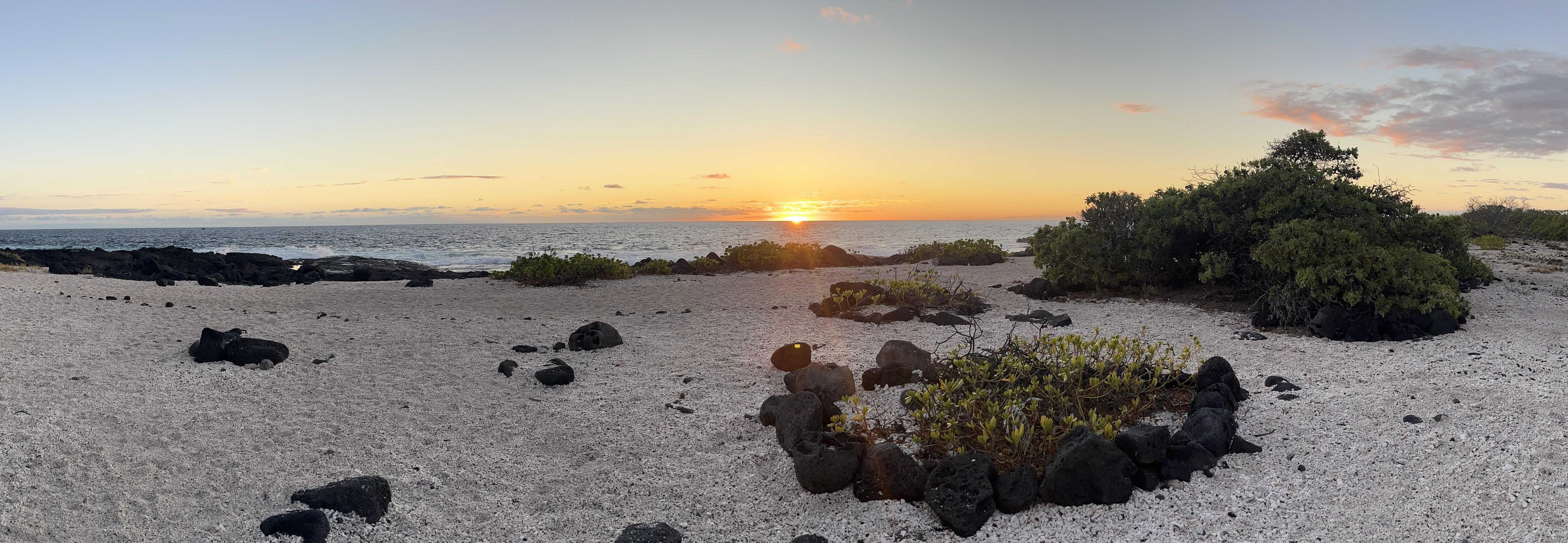 The Wedding Website of Grant Hanlon and Carly Garrison