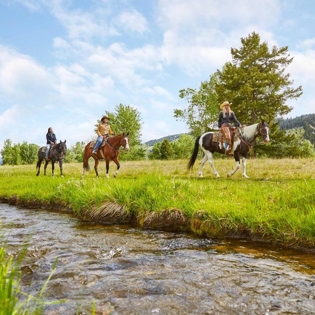 Horseback Riding On Our Honeymoon