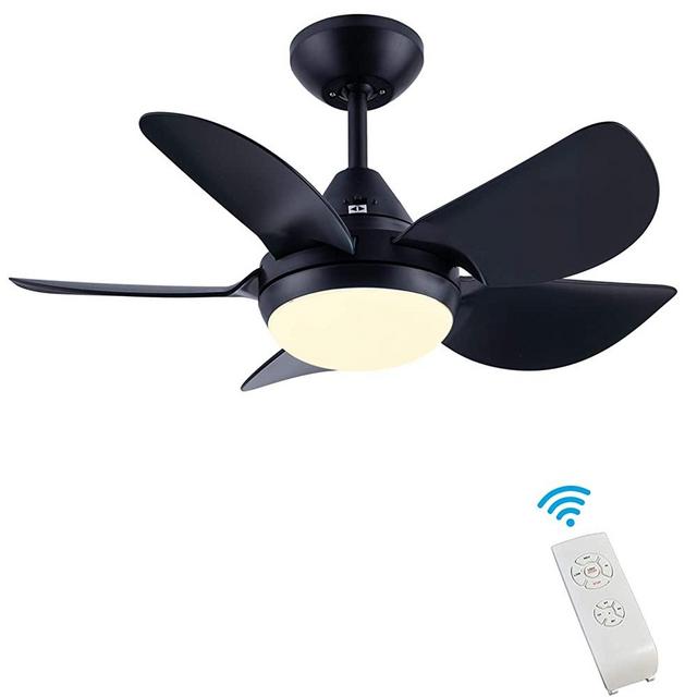 CJOY Ceiling Fan with Lights for Living Room, 30'' Small Modern Ceiling Fan with 5 Reversible Blades, Remote Controls, for Indoor/Outdoor, Black