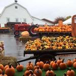 Huber's Orchard and Winery