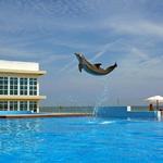 Marineland Dolphin Adventure