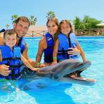 Nadar con delfines