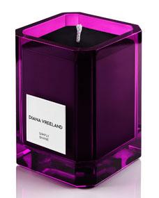 Diana Vreeland					Simply Divine Scented Candle