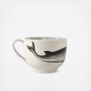 Whale Fauna Grand Cup