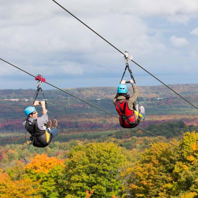 Ziplining experience