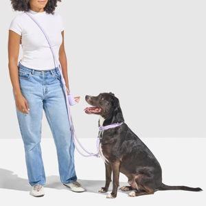 WILD ONE Hands-Free Adjustable Rope Dog Leash, Standard: 4 1/3 to 8 1/2-ft long, 1/2-in wide, Moonstone - Chewy.com