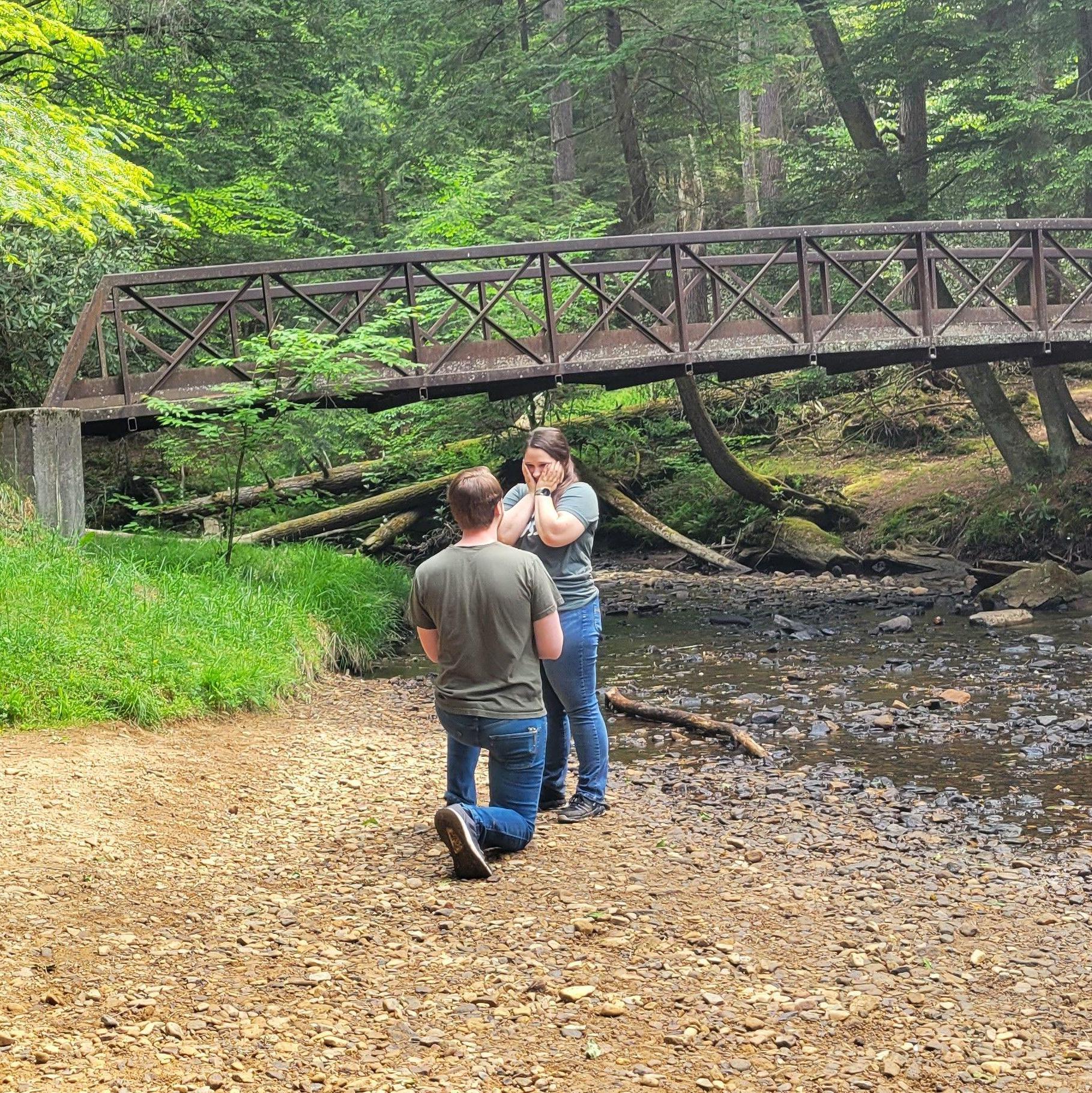 Cook Forest State Park, PA 2023