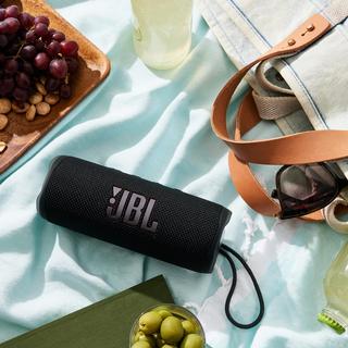 Flip 6 Portable Waterproof Speaker