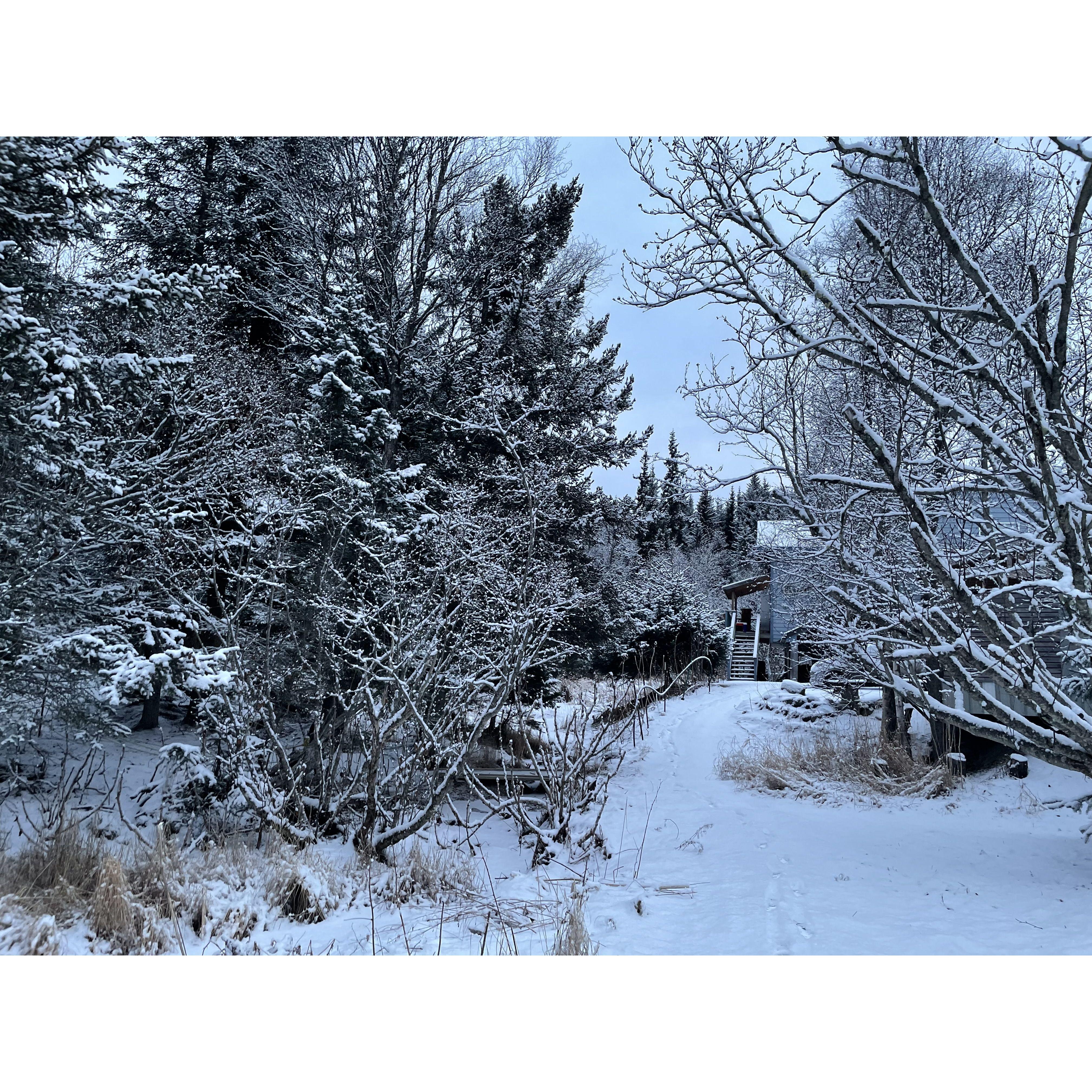 A wintry peek of our old apartment in Homer