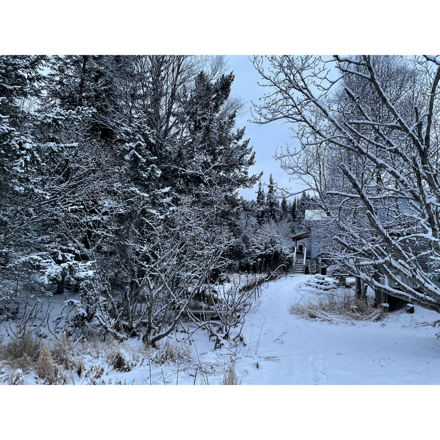 A wintry peek of our old apartment in Homer