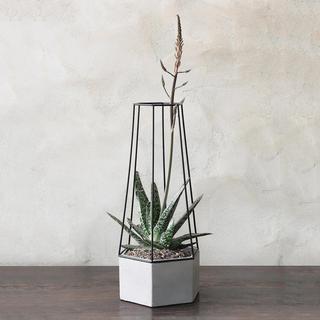 Indio Planter