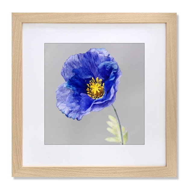 VNVNK 20x20 Frame Natural Wood Color, Perfect for 20x20 Inch Picture without Mat or 16x16 Inch Picture with Mat, Home Wall Decor Picture Frame-1 PCS
