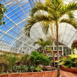 Phipps Conservatory and Botanical Gardens