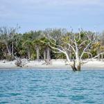 Botany Bay