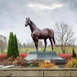 Kentucky Horse Park