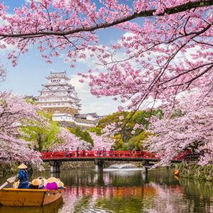 Our Honeymoon Fund (Trip to Japan)