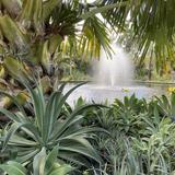 Miami Beach Botanical Garden