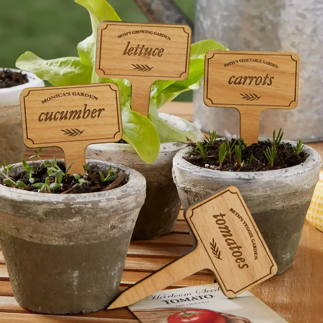 Vegetable Garden Personalized Plant Markers