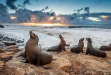 La Jolla Cove