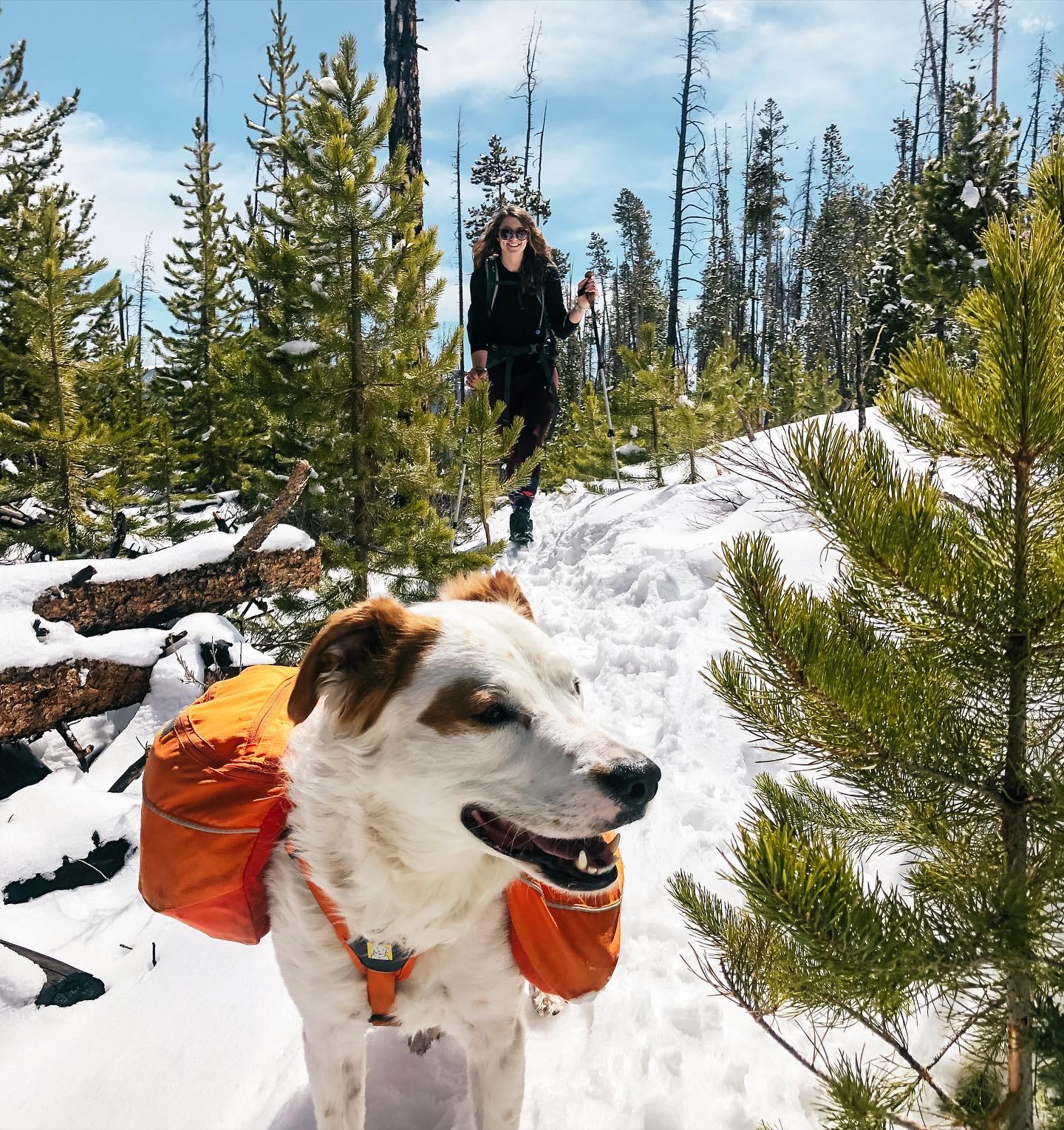 Spring backpacking