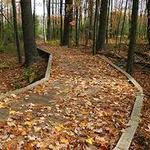 Green Circle Trail
