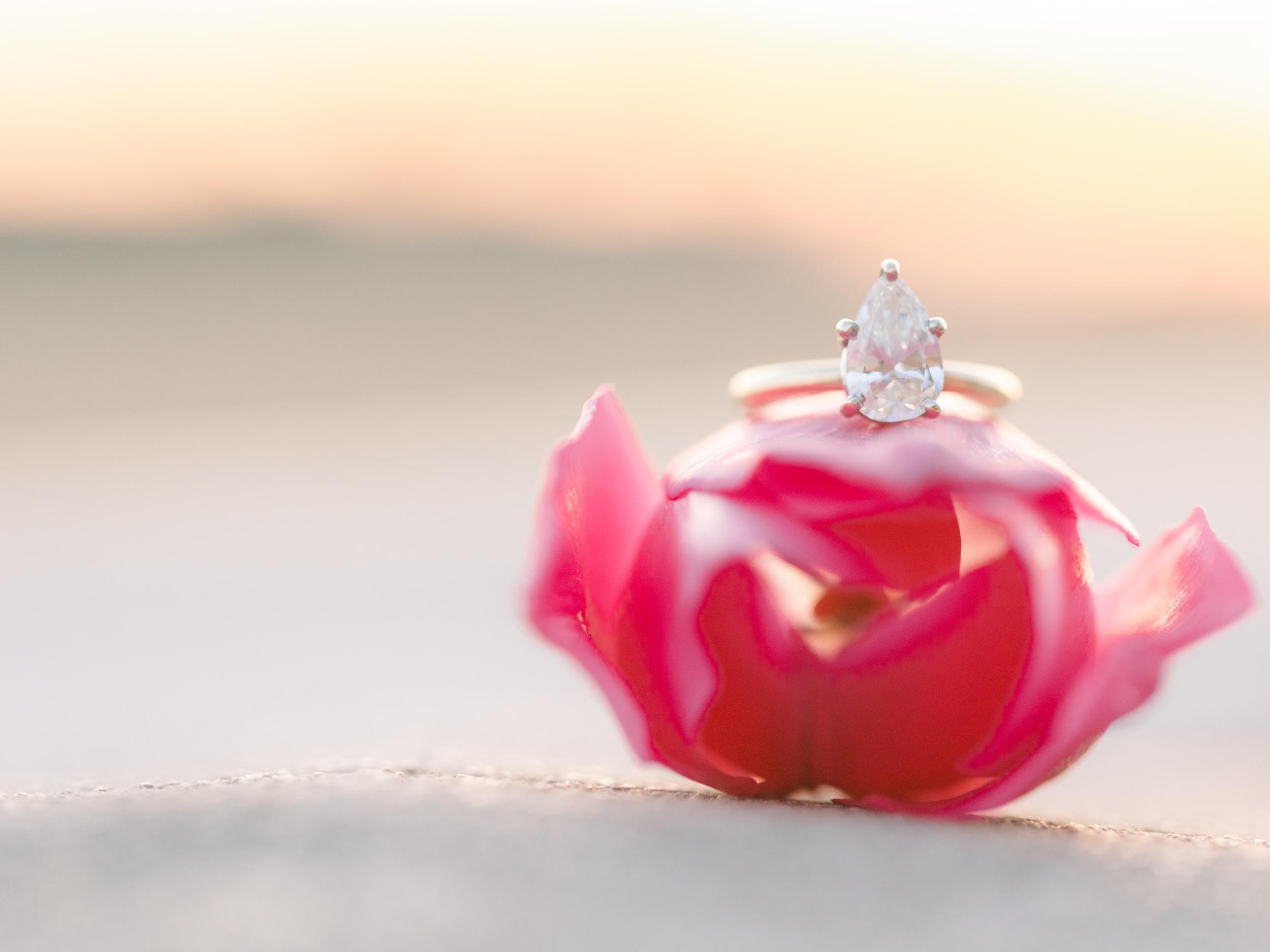 The Wedding Website of Courtney Wiseman and Michael Federspiel
