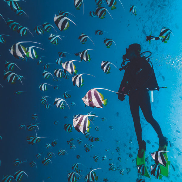 Scuba Diving Experience