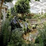 The Key West Butterfly and Nature Conservatory
