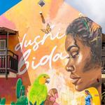 Things to do in Curacao!!