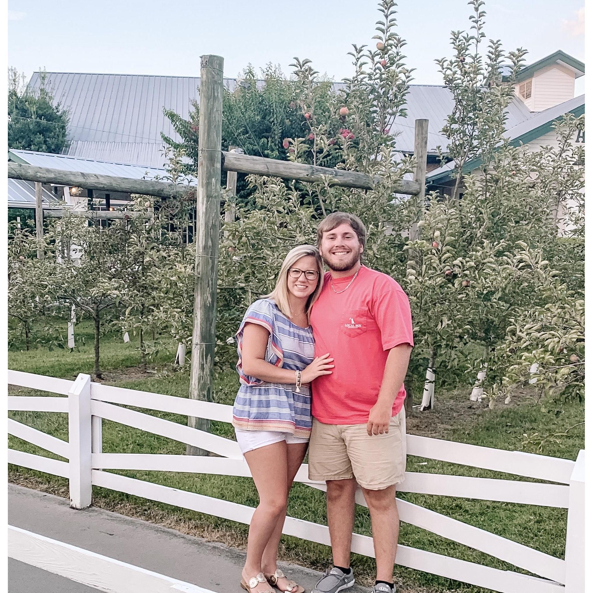 Mountain Trip, 2020 - Apple Barn
