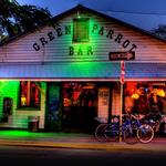 Green Parrot Bar
