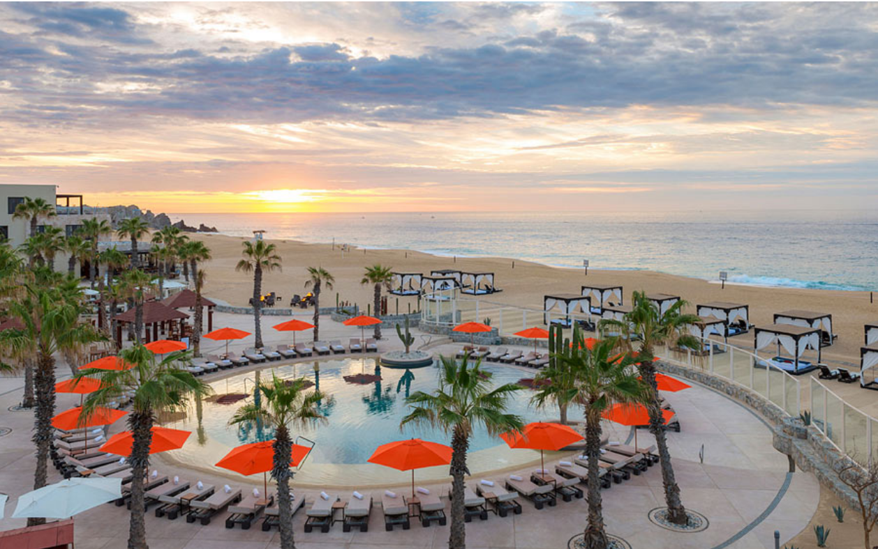 The Wedding Website of Milana Giacalone and Alex Kalé