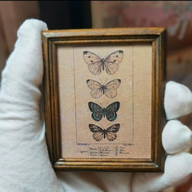 mini 【Butterfly series NO.1】Miniature ,small , mini world map,handmade vintage photo frame,mini photo frame