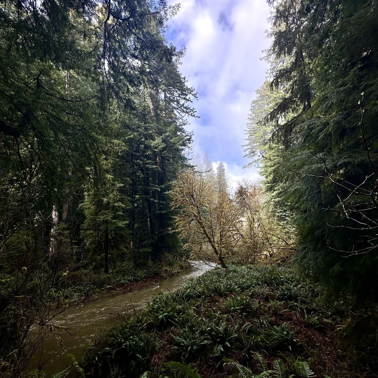 The view from the bridge Jeremy proposed on.