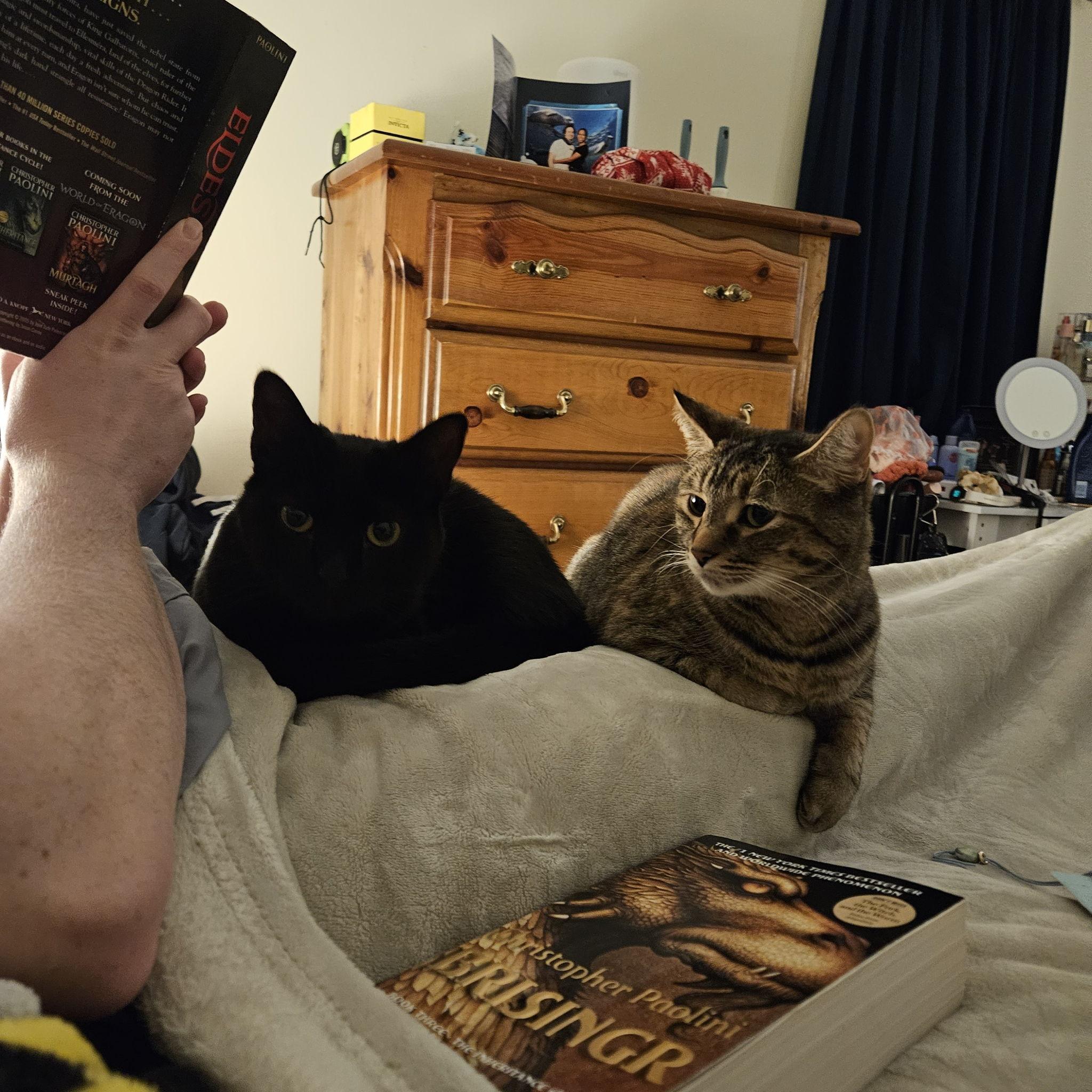 Our babies Pepper and Ginger