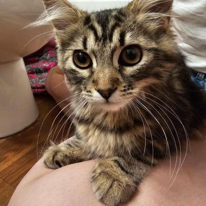 The day we adopted Freya <3