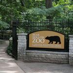 Bear Hollow Zoo