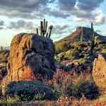 Scottsdale